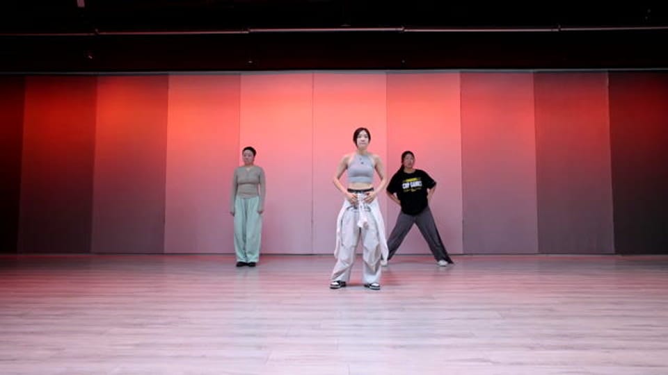 SHOGUNU_S001_S001_T480.MOV