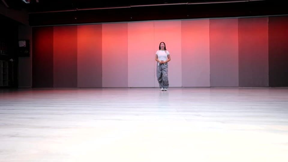 SHOGUNU_S001_S001_T488.MOV